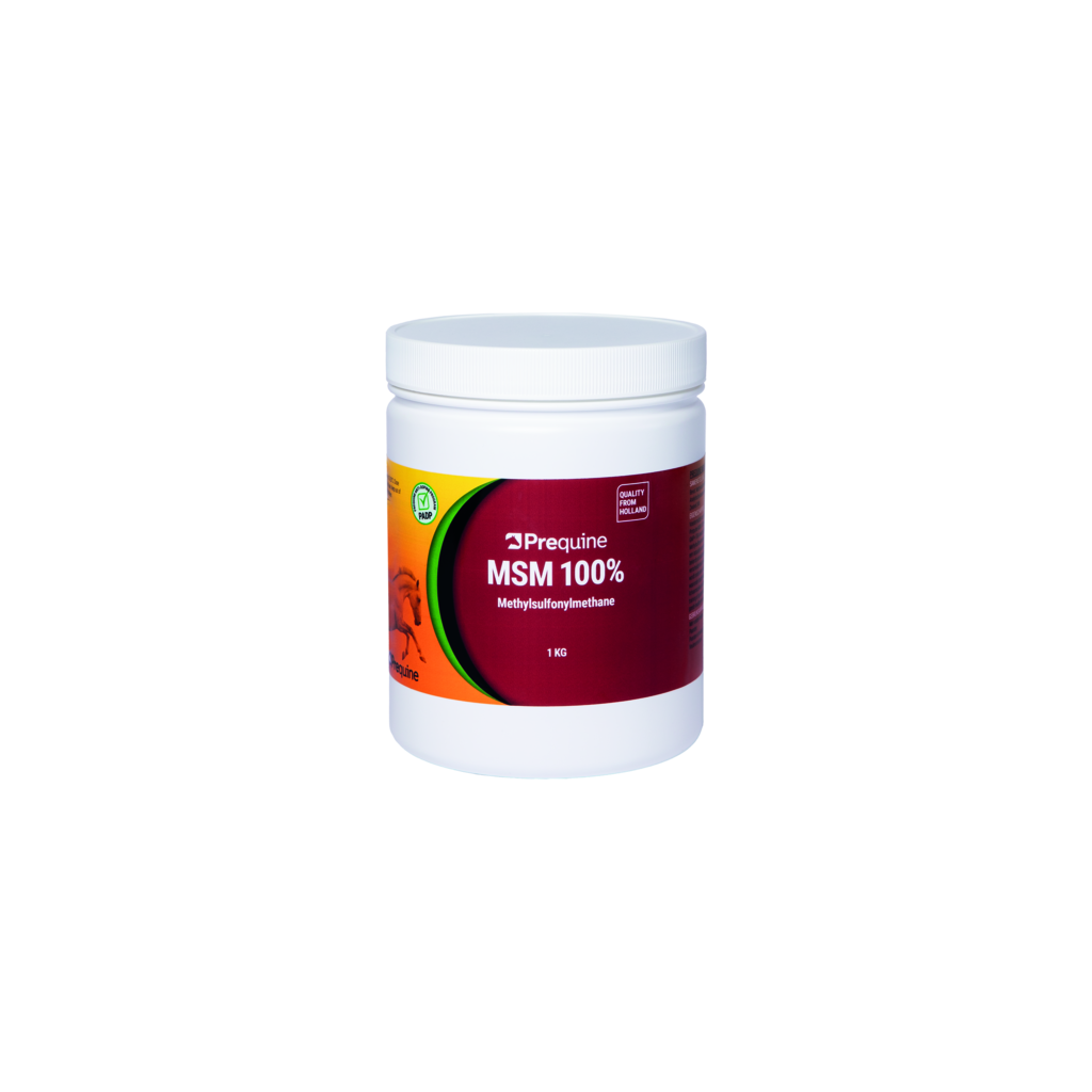 MSM - Muscle health - 1 kg