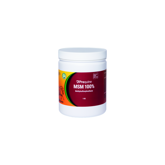 MSM - Muscle health - 1 kg